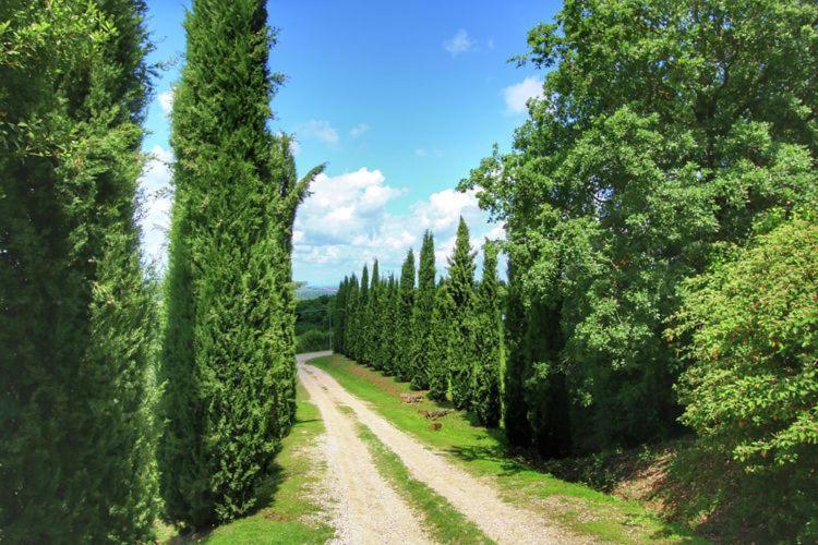 Podere Il Tigliolo Castiglione d'Orcia Exterior photo